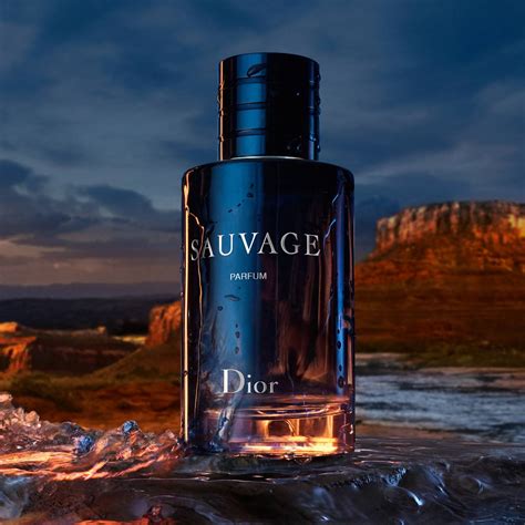 dior sauvage 100ml best price uk|Dior Sauvage cheapest.